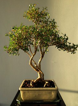 如何解決小學(xué)生厭學(xué)問題