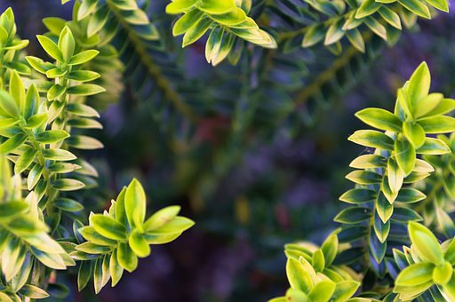 高考復習:如何讓自信和方法相輔相成