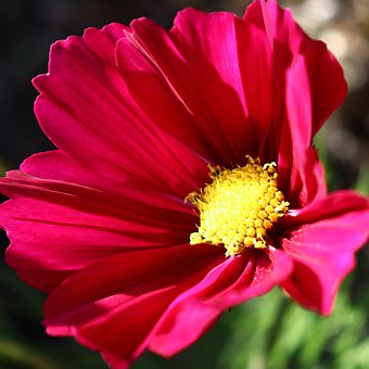 ���L(zh��ng)�y׽��������˼ Ƹ��W(xu��)���ҽ̳䮔(d��ng)����P��