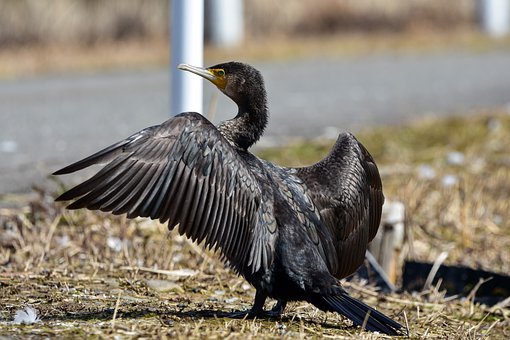中考結束后 如何在暑假給心放個假