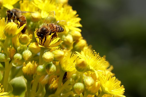 �� ָ�]�ĺ�����ô�k