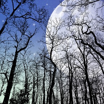 怎么管教叛逆期的孩子