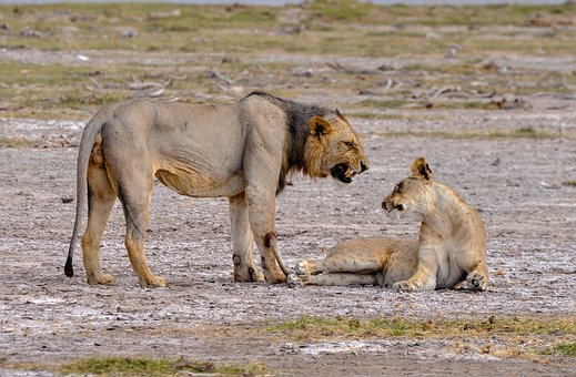 把童年還給孩子 需要牢記的家庭教育的8個觀點