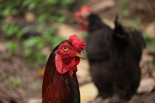 ˼俼ʮУđBʳҲҪע