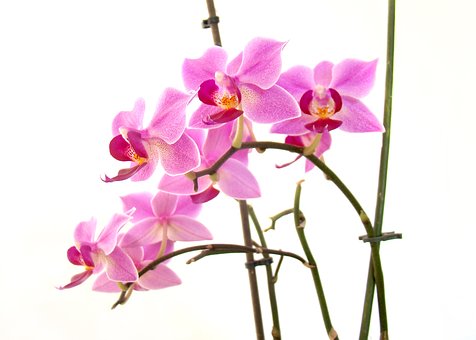 父母該怎樣鼓勵(lì)孩子堅(jiān)持下去