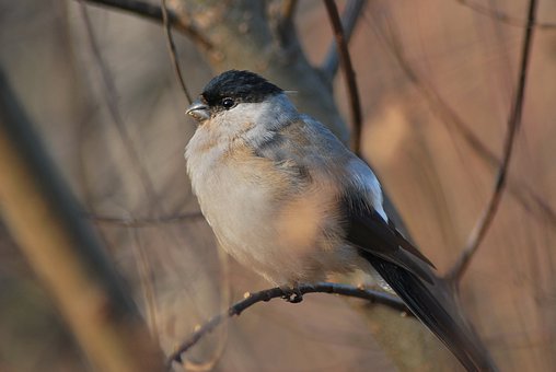 2010年北京中小學(xué)生學(xué)籍中將記錄健康數(shù)據(jù)