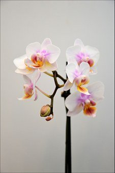二年級孩子在學校不寫作業怎么辦
