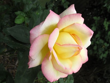 如改假期中學校長最憂中考高考