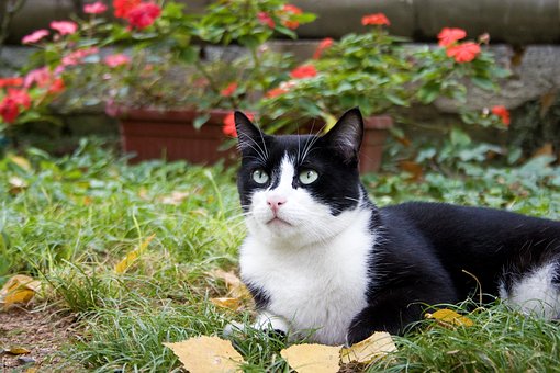 GRE/GMAT 寫作批改范例