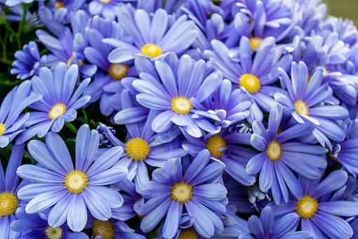 高一學生如何盡快適應高中化學學習