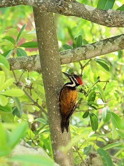 孩子扔東西怎么教育