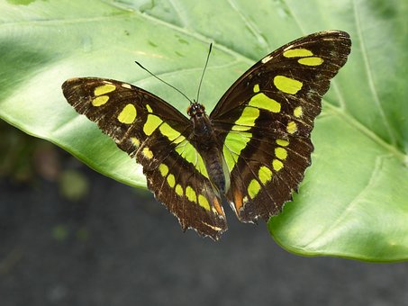 教育中培養(yǎng)孩子的自主性和創(chuàng)造力