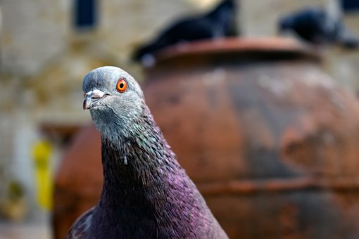 家長課堂:教育子女煉就全能家長