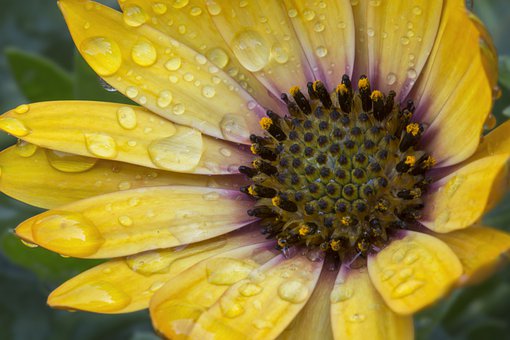 2010年北京中考英語(yǔ)試題出現(xiàn)三特點(diǎn)