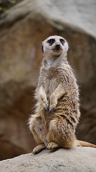 九年級(jí)的學(xué)生不想上學(xué)怎么辦