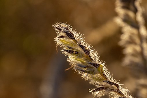 һ(yu)ĴW(xu)ҽ̣ҪעЩ헣