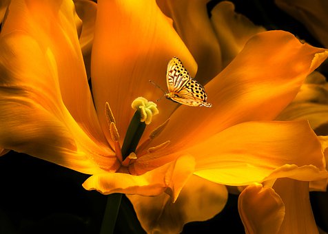 �ҽ��ڮ�����܉��Lʢ��˥��������������m���ࣿ