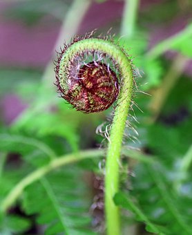 �_(t��i)���W(xu��)�����]�ۡ�Ҳ���ϴ�W(xu��) ����10�־Ϳ���Ո(q��ng)