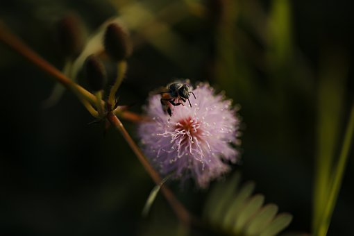 17歲女生叛逆期的表現