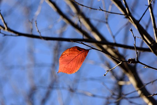 高三中等生大幅提高成績的方法與技巧