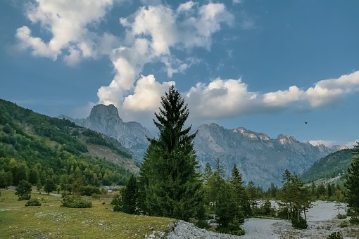 2010湖北高考各批次錄取控制分數(shù)線查詢