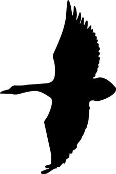 2008年考研網上報名之前的十大注意事項