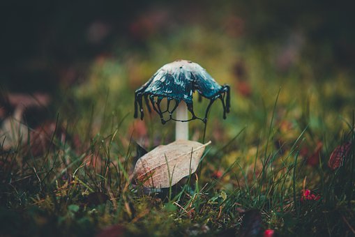 初中生不想去上學怎么辦