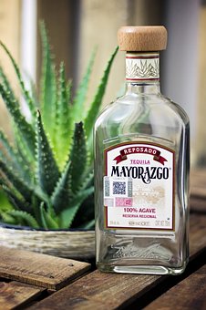 畢業生就業學歷查三代 用人單位為哪般?