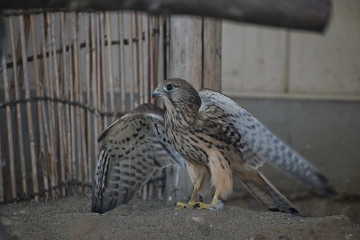 孩子偷偷玩游戲被發現怎么教育為好