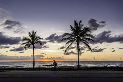 兒童沉迷手機怎么辦