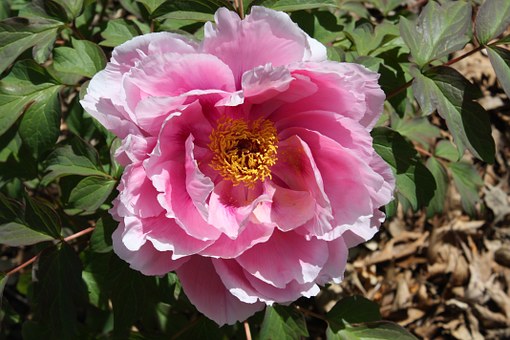 Ӣ�Z�����Ƶ�λ��ȡ������