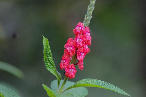 家長課堂:九招教你培養孩子的情商