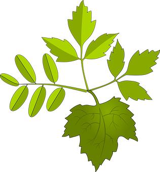 上初中的孩子怎樣教育效果好