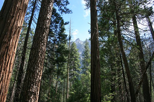 英報(bào)推2010年世界大學(xué)排名 中大首次入前200強(qiáng)