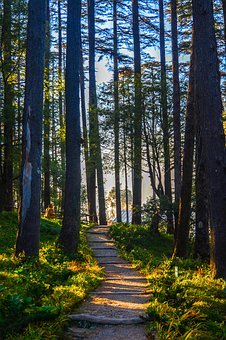 建議高考生:考試季來臨“補腦”別太猛