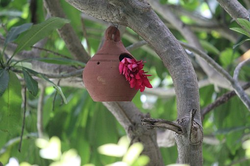 ���Е�Ӌ�W���I�m����Ⱥ���俼ָ��