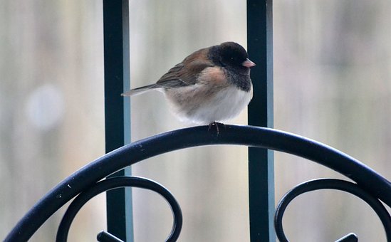 錢一分一分的掙清華北大怎么考