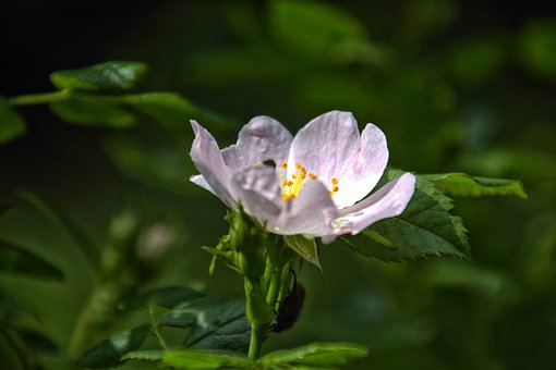 �����όW�� Ԓ�����@Щ�����Ќ����ί�������