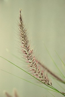 培養(yǎng)快樂(lè)自信的孩子:12種教育方法