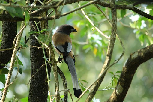 2012年北京豐臺區(qū)初三化學一模試題及答案