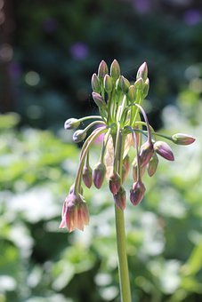 淺談如何培養小學生聽說英語的習慣