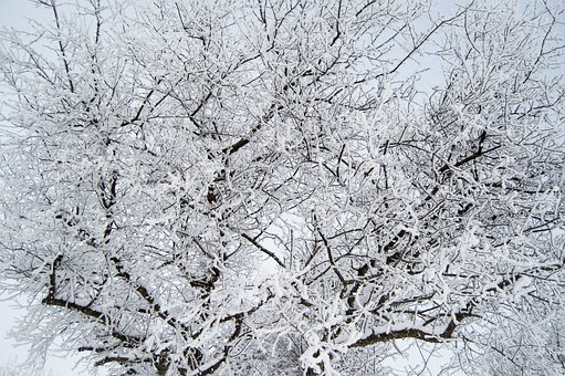 孩子討厭學(xué)校這個(gè)環(huán)境怎么辦