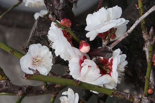 初中孩子叛逆期如何管教