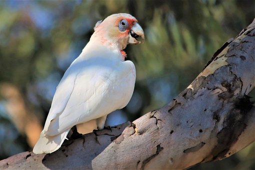 老師針對學生厭學怎么辦