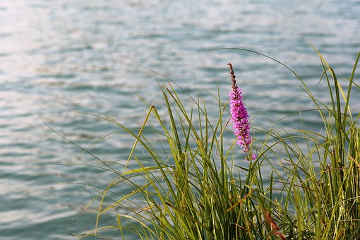 過來人分享中考經(jīng)驗(yàn):考試期間注意這六點(diǎn)