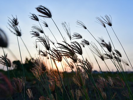 請家教,到底是大學生家教好還是找一線老師更適合?