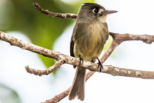 北京中小學生下周開學 嚴防甲型流感