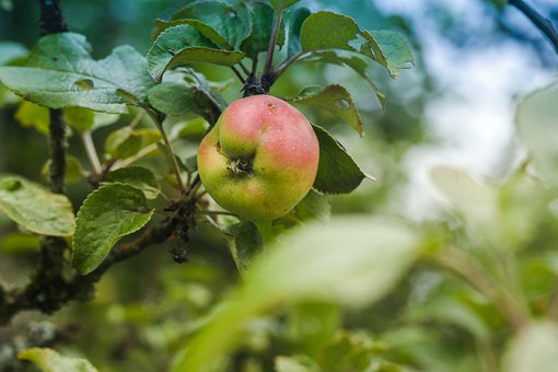 (sh)(yn)̌W(xu)Ďc(din)J(rn)R