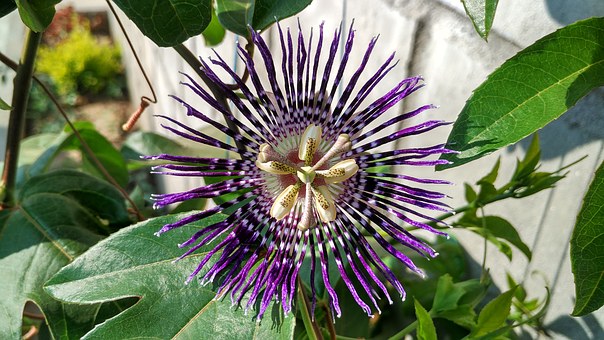 家長必讀:九招改善親子關系