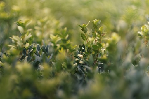 家長需注重孩子興趣 填報高考志愿要注意梯度